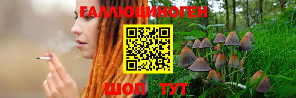 купить закладку  Вход с VPN  Ухта  Псилоцибиновые грибы Magic Shrooms 